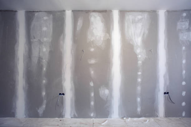 Munster, IN Mold Removal Company